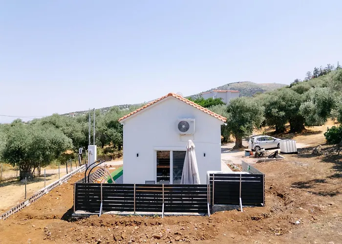 Lux Natura * Πρίνος